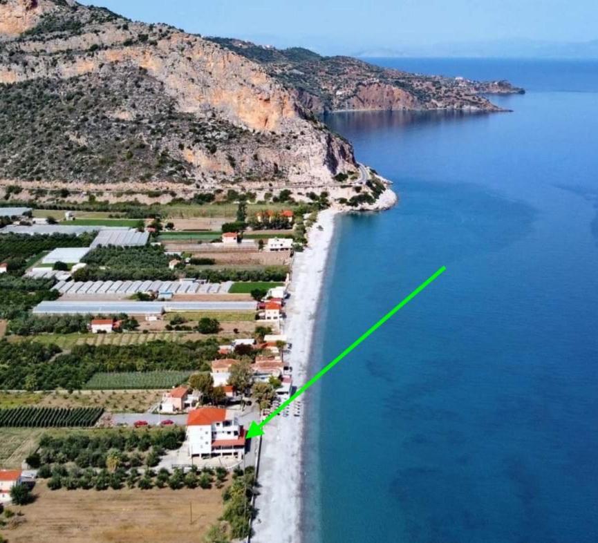 Thassa Beach Apartment No6 Leonídion エクステリア 写真